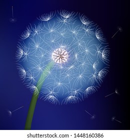 dandelion on blue background vector art