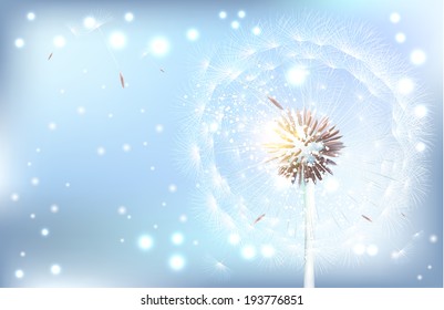 Dandelion on the blue background. Vector illustration. Vector Dandelion.