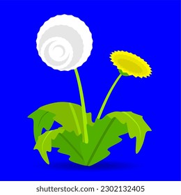 
dandelion sobre fondo azul, diseño vectorial