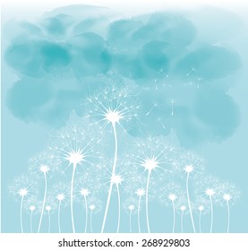 dandelion on the blue sky background