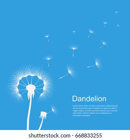 Dandelion on blue template poster with copyspace. Flower in the wind, waving gently, motion image of seeds float away. Vector flat style illustration on sky background