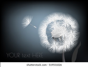 Dandelion on dark blue background. Vector illustration