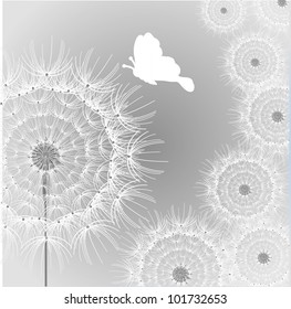 Dandelion is on a gray background with butterfly