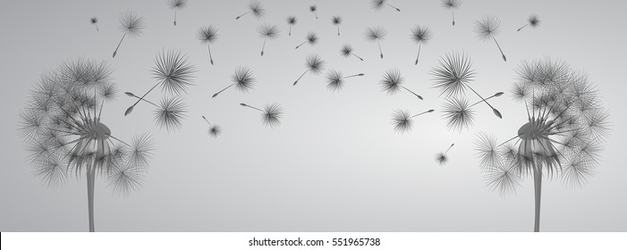 Dandelion on grey background. Flying spores. Concept of wishing, tenderness and summer time.