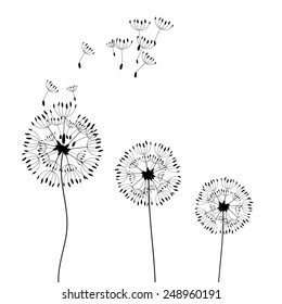 The dandelion on a wind loses the integrity. Vector.