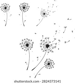 Dandelion Outline Bundle with Blowing Seeds, Botanical Line Art for Wall Prints, Invitations, Spring Decor and Nature Design