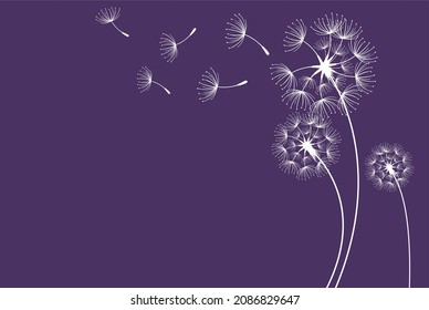 Dandelion parachutes by the wind on a purple background