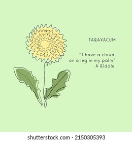 Dandelion plant, flower one line art drawing. Simple vector line illustration