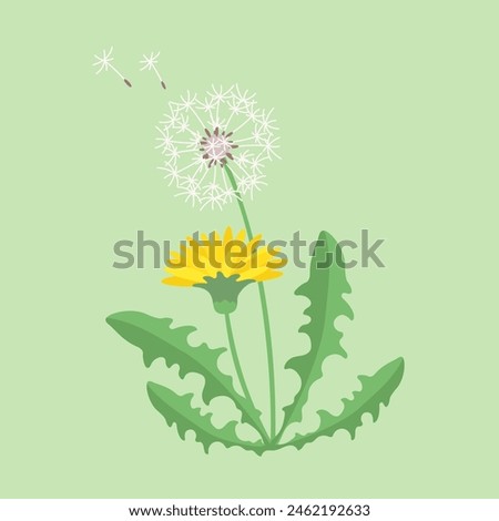 Similar – Image, Stock Photo dandelion Dandelion Plant