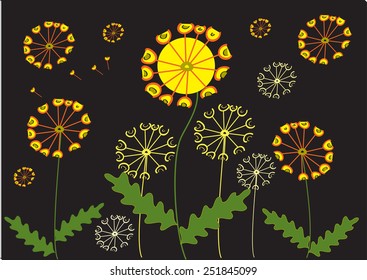 Dandelion Plants