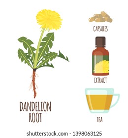 Dandelion root set with capsules, tea and extract in flat style isolated on white background. Organic healthy food. Medicinal herbs collection. Vector illustration.
