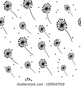 Dandelion seamless pattern. Hand-drawm black flowers on white background. Endless herb ornament