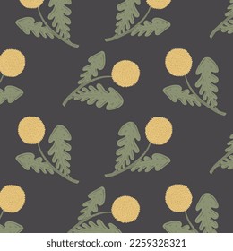 Dandelion seamless pattern on gray background. Floral Botanical hand drawn print with yellow flowers