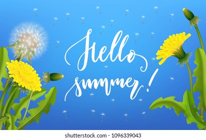 Dandelion seed background lettering. Banner with hello summer lettering. Invitation card on white with flying parachutes. Spring vector illustration