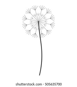 dandelion seed decoration icon vector illustration design