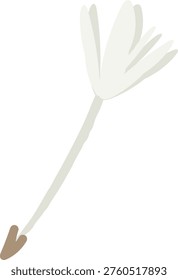 Dandelion seed drifting in wind with feathery pappus and slender stem, clean background. Symbol of wish, freedom, hope, and letting go for nature themes. Cartoon vector illustration.