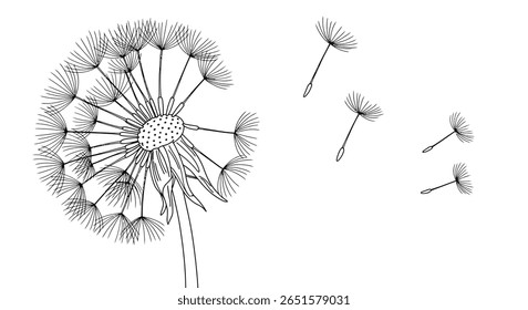 Dandelion cabeça de semente colorir contorno da página representando o icônico fluffy forma de globo pronto para colorir diversão