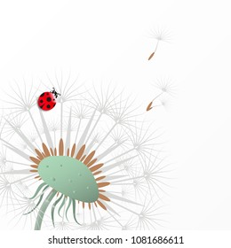 Dandelion seed head flowers, flying seeds and red ladybug. Summer floral art design. Wildflower on white background