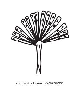 Resumen del icono de la semilla de Dandelion. ilustración botánica dibujada a mano Clipart. Dandelion de fondo blanco. Ilustración del vector