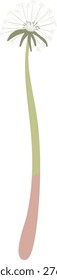 Dandelion seedhead with windblown pappus and slender stem in clean line style. Symbol of wish, freedom, hope, and letting go for nature themes. Cartoon vector illustration.