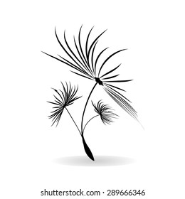 Dandelion Seeds