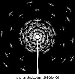 Dandelion Seeds