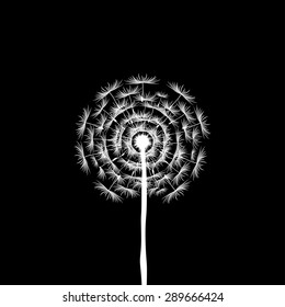 Dandelion Seeds