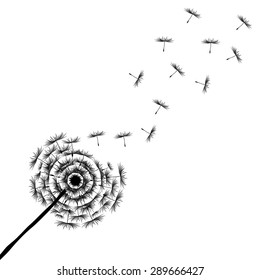 Dandelion Seeds