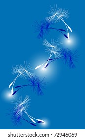 dandelion seeds, achenes in the dance, the play of light and shadow,