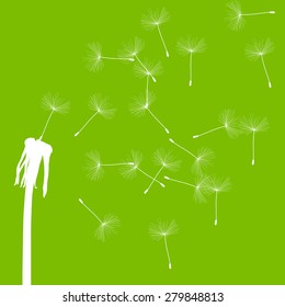 Dandelion seeds blowing away green ecology and time passing concept background vector
