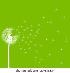 Dandelion seeds blowing away green ecology and time passing concept background vector