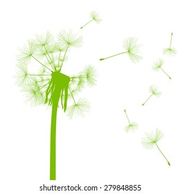 Dandelion seeds blowing away green ecology and time passing concept background vector