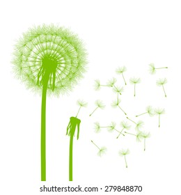 Dandelion seeds blowing away green ecology and time passing concept background vector