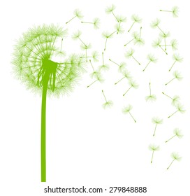 Dandelion seeds blowing away green ecology and time passing concept background vector