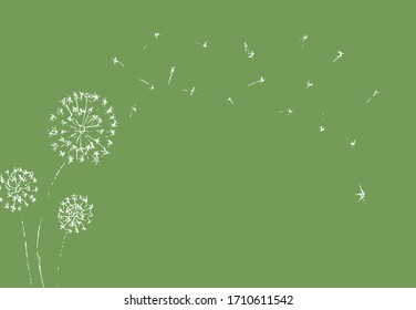 Dandelion with seeds blowing away on green background. Summer plant. White silhouette of flower. Floral Vector Illustration. 