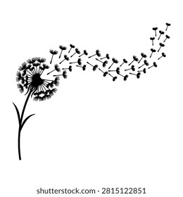 Dandelion seeds blowing away in wind