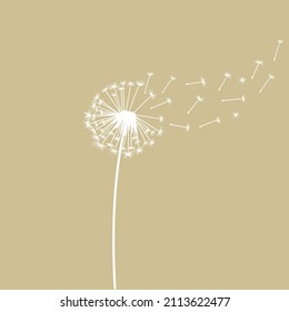 Dandelion with seeds blown away by the wind. Hand drawn illustration for holiday cards banner template with copy space