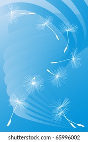 dandelion seeds, fluff white flies, the sky blue, white umbrellas, lightweight fluff