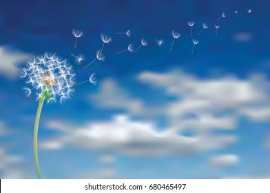 Dandelion seeds fly in the sky, vector illustration