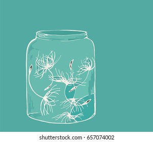 
Dandelion seeds in a jar
