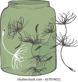 
Dandelion seeds in a jar
