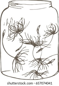 
Dandelion seeds in a jar
