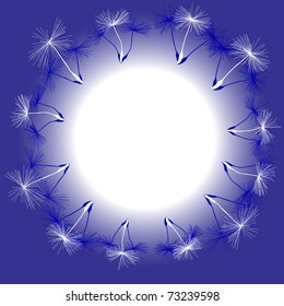 dandelion seeds, light umbrellas, circle of light, the play of shadows, silhouettes of white