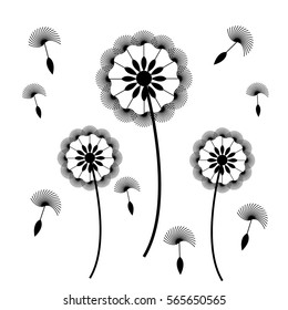 Dandelion with seeds on white background. Vector illustration.