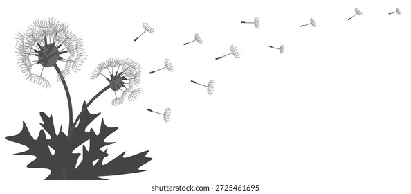 Sementes de dente-de-leão no vento - Ilustração de vetor minimalista