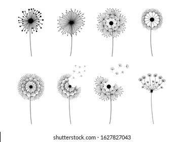 Dandelion set. Doodle hand drawn dandelions monstera isolated vector silhouettes, summer botanical fluff flower