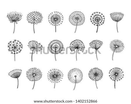 Similar – dandelion Nature Plant