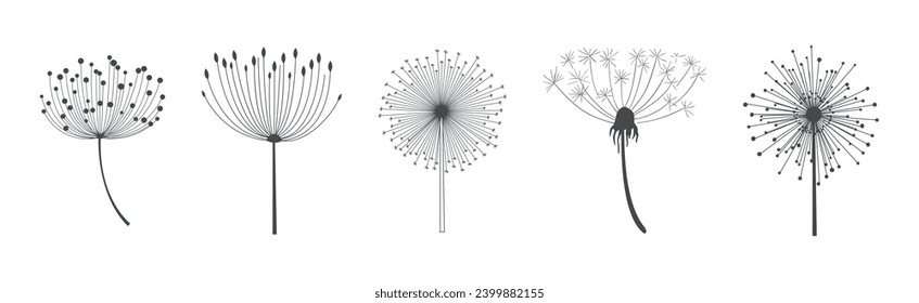 Dandelion Signs Black Thin Line Icon Vector Set