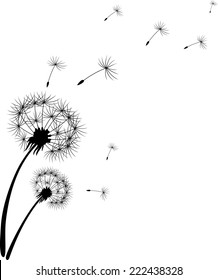 Dandelion Silhouette