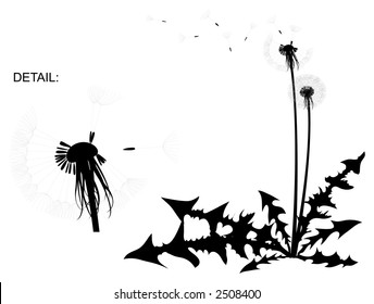 Dandelion silhouette